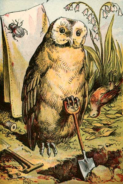 The Owl, the Beetle, and Cock Robin by English School