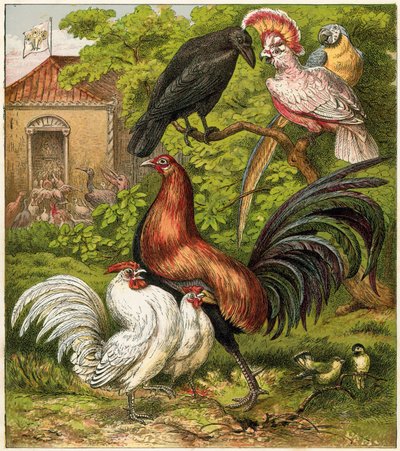 The Peacock at Home by English School