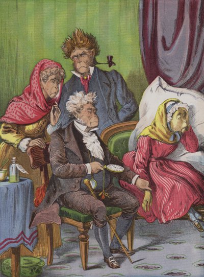 The Physician by English School