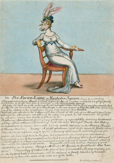 The Pig-Faced Lady of Manchester Square, London by English School