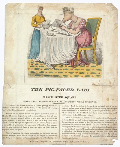 The Pig-faced Lady of Manchester Square by English School