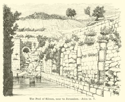 The Pool of Siloam, near to Jerusalem by English School