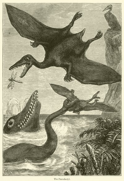 The Pterodactyl by English School