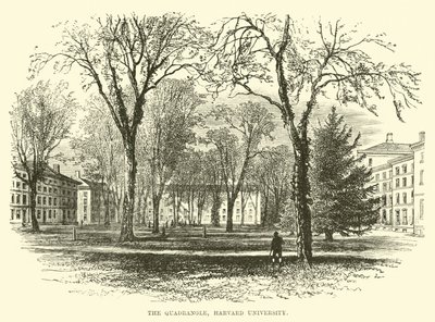 The Quadrangle, Harvard University by English School