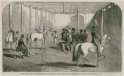 The Queen Viewing the Arabian Horses Presented to Her Majesty, in the Riding House at Pimlico by English School