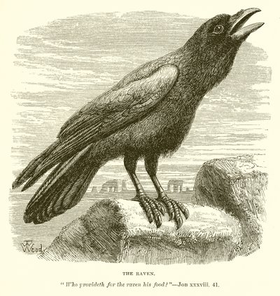 The Raven by English School