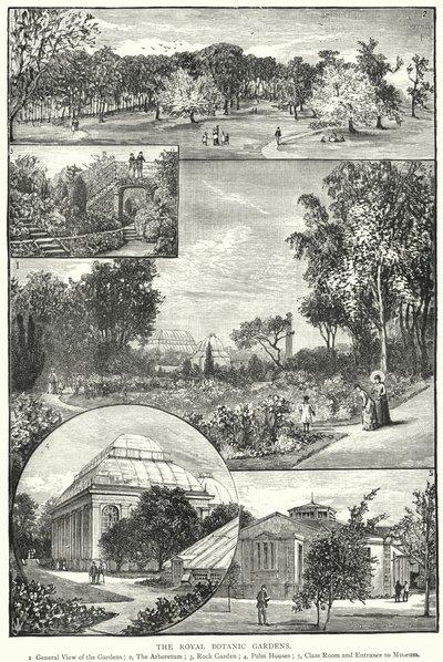 The Royal Botanic Gardens by English School