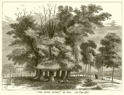 The Seven Sisters in 1830 by English School