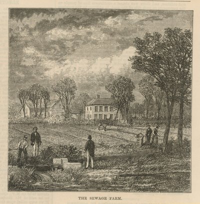 The Sewage Farm by English School