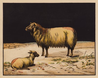 The Sheep by English School
