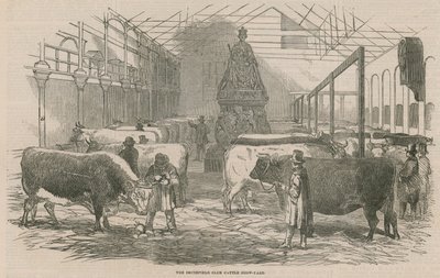 The Smithfield Club Cattle Show Yard by English School