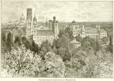 The Smithsonian Institution at Washington by English School