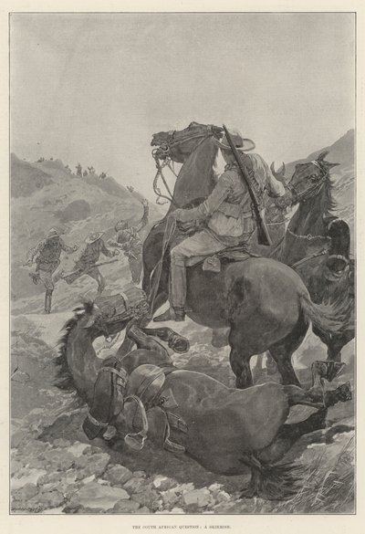 The South African Question, a Skirmish by English School