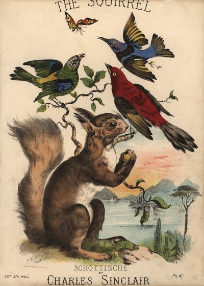 The Squirrel, Schottische by Charles Sinclair, Sheet Music Cover by English School