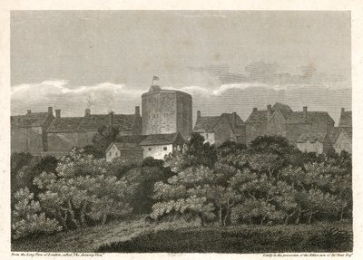 The Swan Theatre on the Bankside as it appeared in AD 1614 by English School