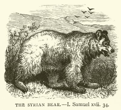 The Syrian Bear, I, Samuel, xvii, 34 by English School