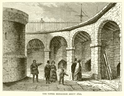 The Tower Menagerie About 1820 by English School