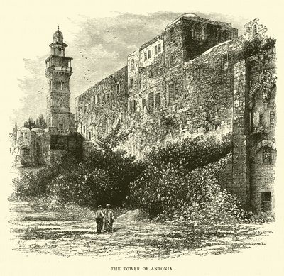 The Tower of Antonia by English School