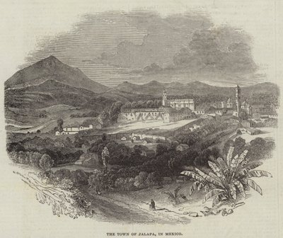 The Town of Jalapa, in Mexico by English School