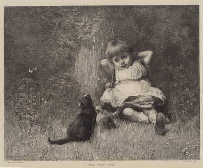 The Two Pets by English School
