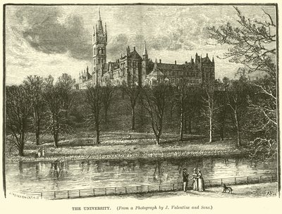 The University by English School