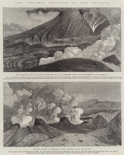The Volcanic Eruption in New Zealand (engraving) by English School