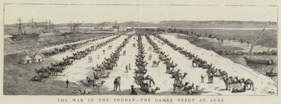 The War in the Soudan, the Camel Depot at Suez by English School
