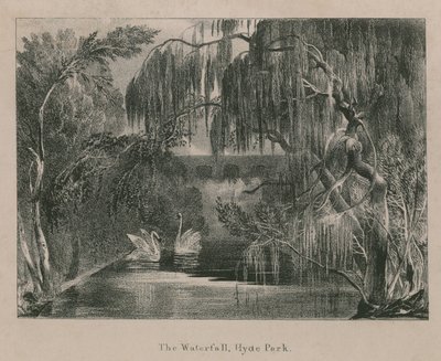 The Waterfall, Hyde Park, London by English School