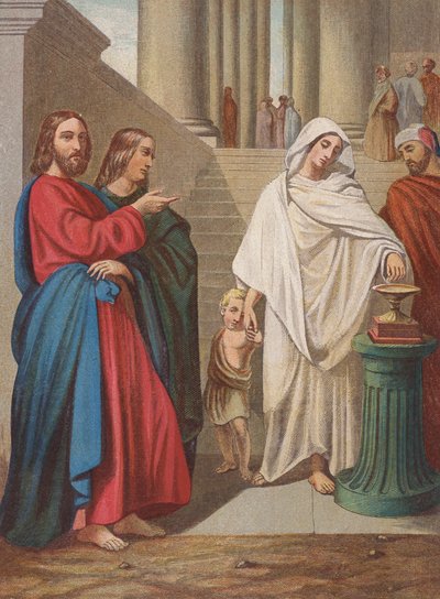 The Widow