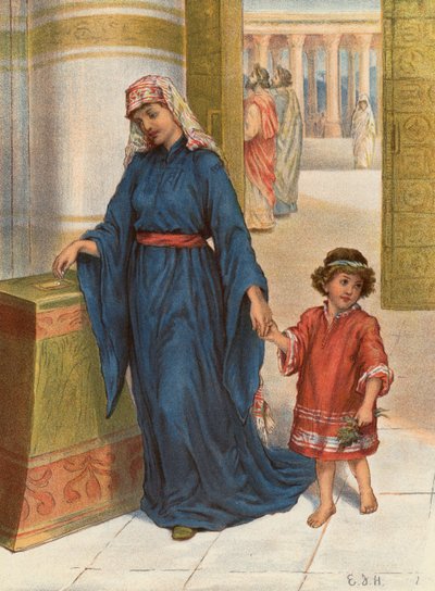 The Widow