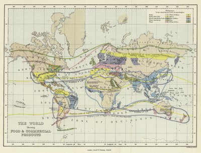 The World Showing Food and Commercial Products by English School
