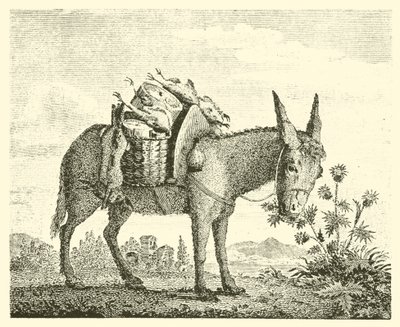 The ass eating thistles by English School