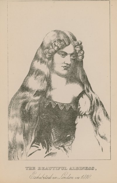 The Beautiful Albiness, Exhibited in London in 1810 by English School