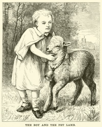 The Boy and the Pet Lamb by English School