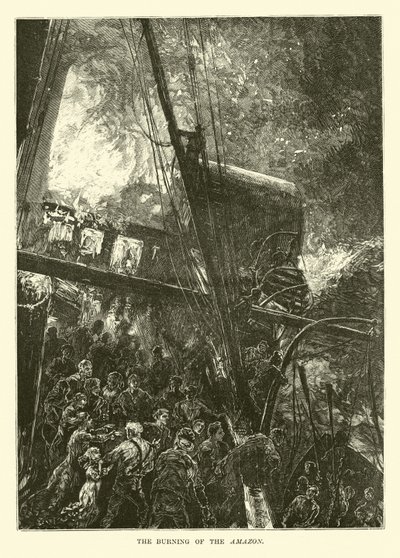 The Burning of the Amazon by English School