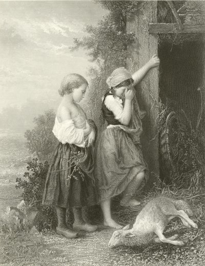 The Dead Lamb by English School