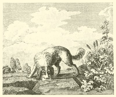 The dog and the shadow by English School