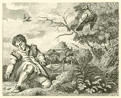 The Dove and the Ant by English School