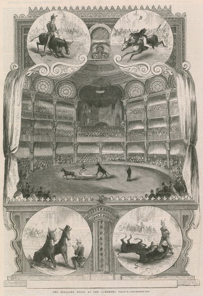The educated mules at the Alhambra Palace, London by English School