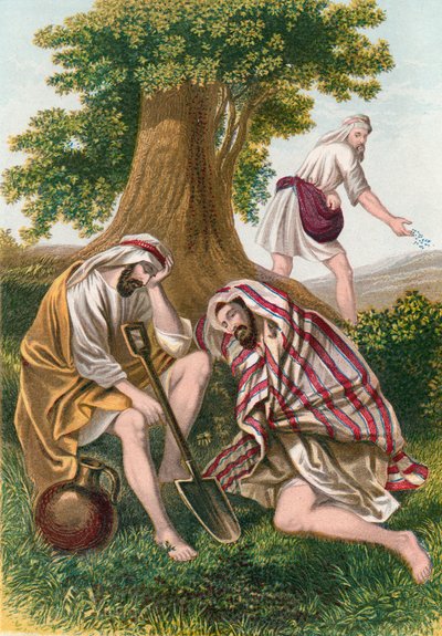 The enemy sowing tares by English School