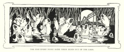 The fish every night raise their heads out of the lake by English School