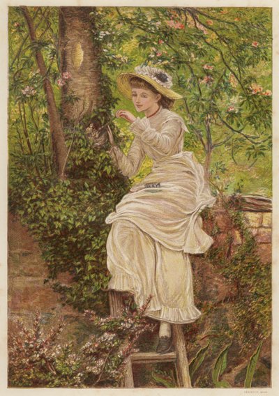 The Foster Mother: Young Woman Feeding Orphaned Bird Chicks in a Nest by English School
