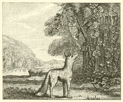 The Fox and the Grapes by English School