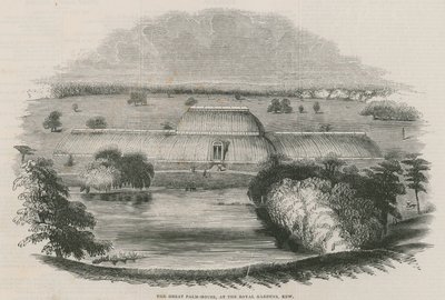 The Great Palm House at the Royal Gardens, Kew, London by English School