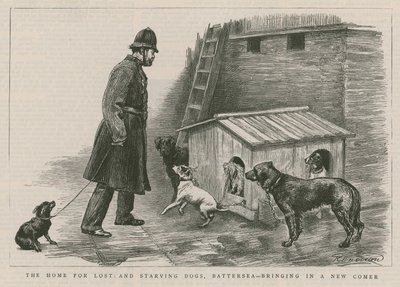 The Home for Lost and Starving Dogs by English School