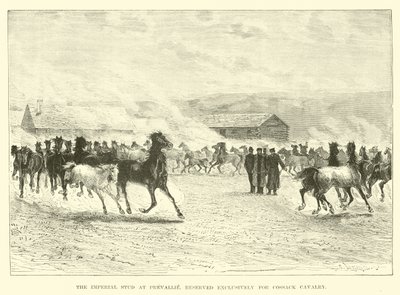The Imperial Stud at Prevallie, Reserved Exclusively for Cossack Cavalry by English School