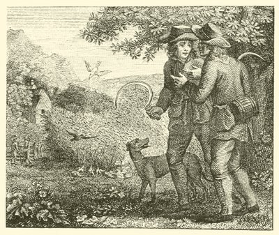 The lark and her young ones by English School