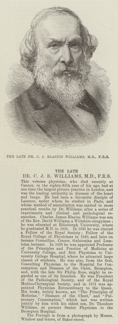 The Late Dr. C.J. Blasius Williams by English School