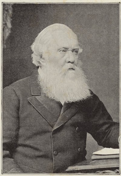 The Late Right Hon. Sir Austin Henry Layard by English School