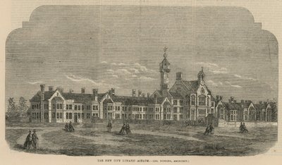 The New City Lunatic Asylum by English School